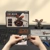 Orrszarvúbogár 3D puzzle modell