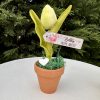 Anyák Napi ajándék tulipán